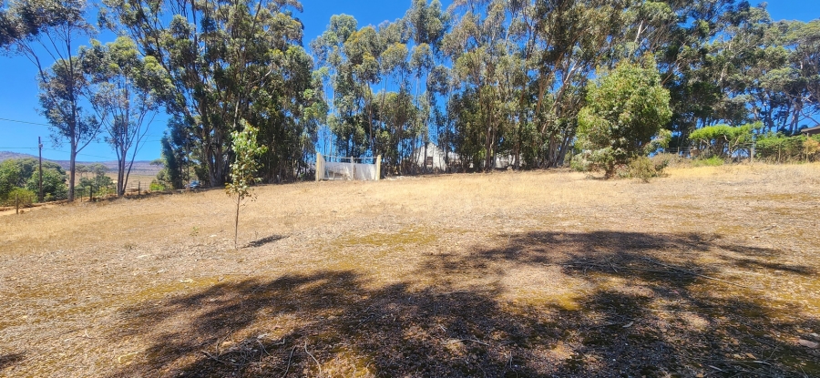 0 Bedroom Property for Sale in Napier Western Cape